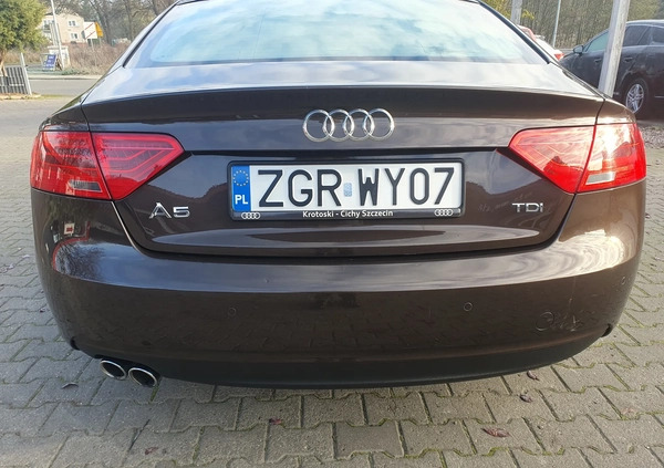 Audi A5 cena 62900 przebieg: 158255, rok produkcji 2014 z Gryfino małe 379